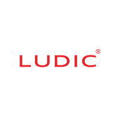 Ludic