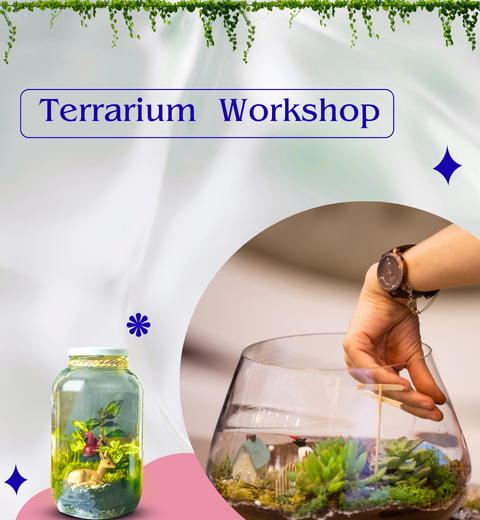 Terrarium Workshop